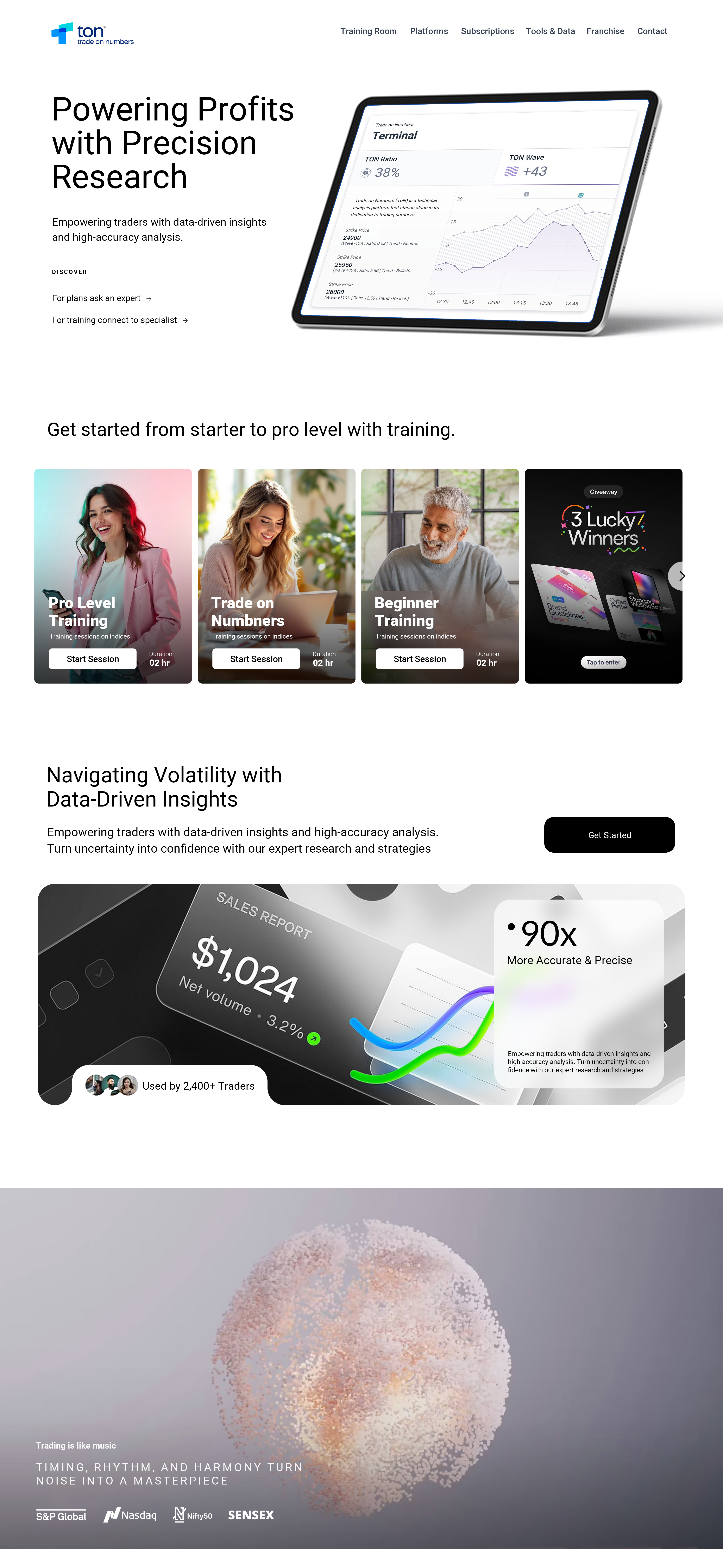 TON Web Page Screenshot